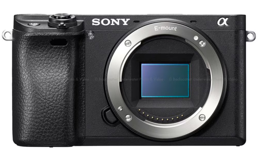 Unlocking the Secrets of Sony Camera Batteries: Longevity and Performance